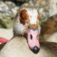 simon-hurry-pPTnPrQoHrE-unsplash